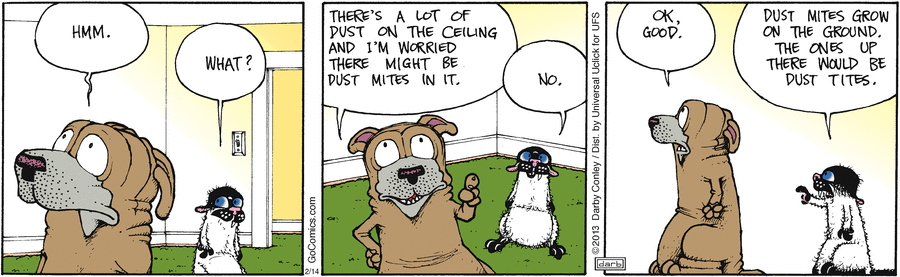 fuzzy